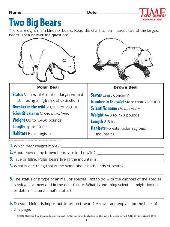 Free Primary Animal Worksheets