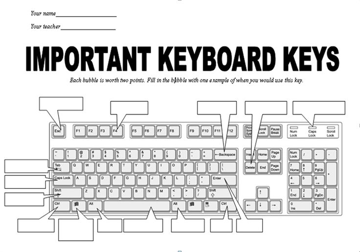 Parts Of The Keyboard Worksheets