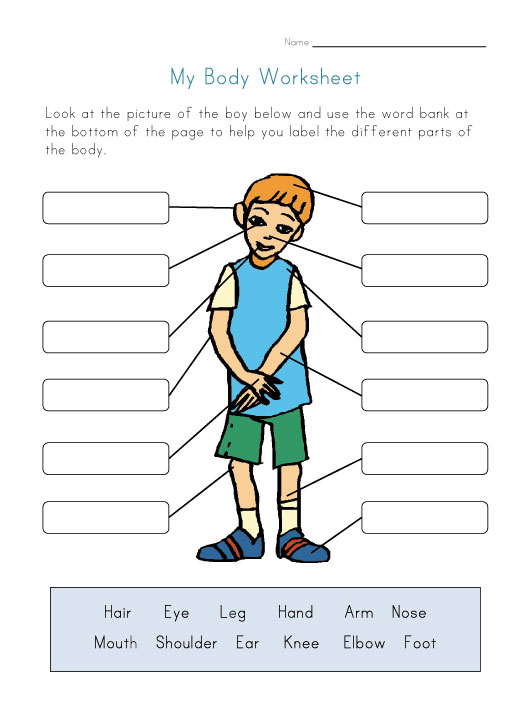 Body Worksheets For Kids