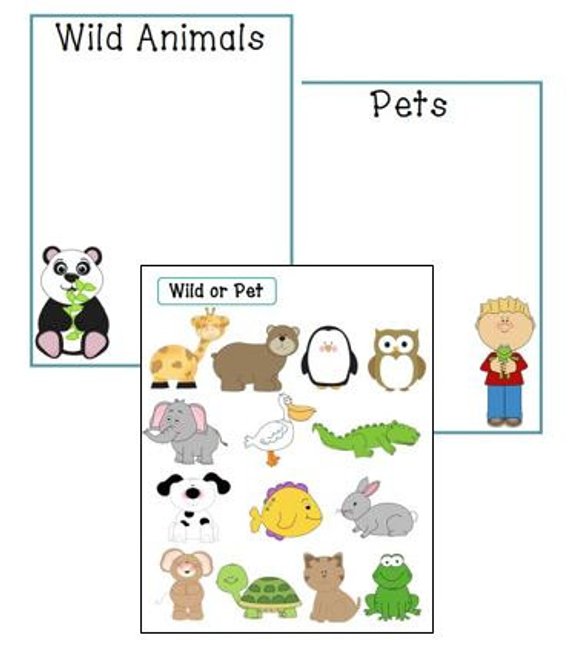 Wild Animal Or Pet Sorting Game