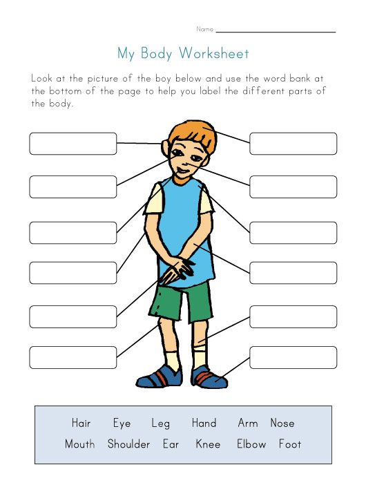 Body Parts In Spanish Worksheet Adding And Subtracting Integers