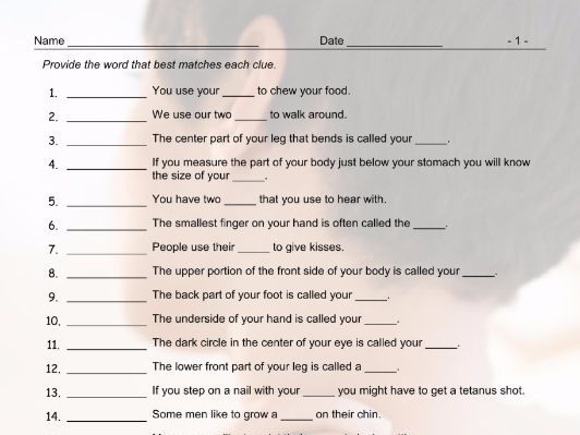Body Parts Matching Vocabulary To Sentences Worksheet By