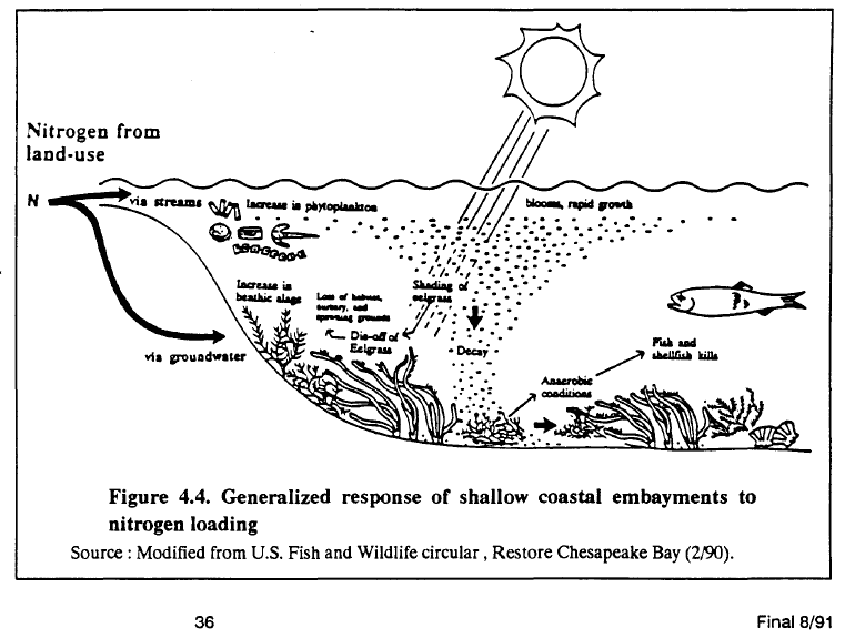 Aquatic  Aquatic Ecosystems Worksheet