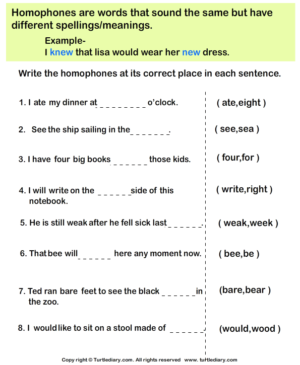 Choose The Homophone For Each Sentence Worksheet