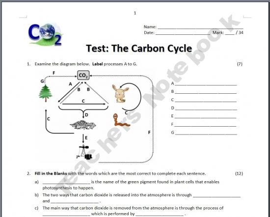 Printables  Carbon Cycle Worksheet  Lemonlilyfestival Worksheets