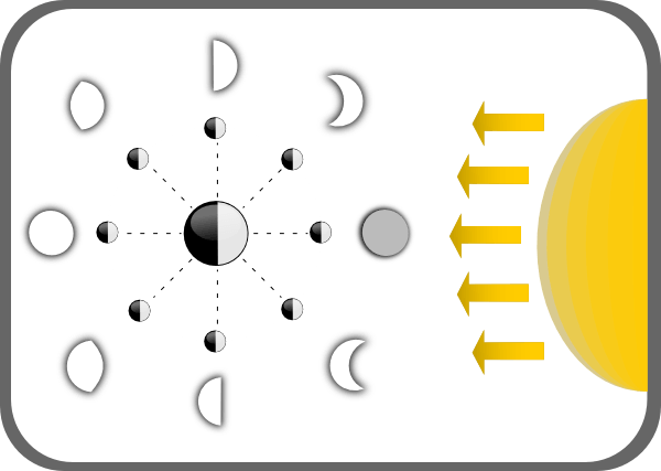 Diagram Of Moon Phases Clip Art At Clker Com
