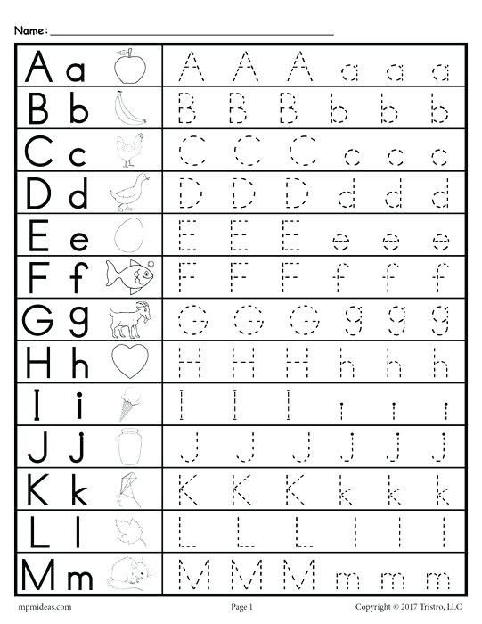 Tracer Worksheets â Petpage Co