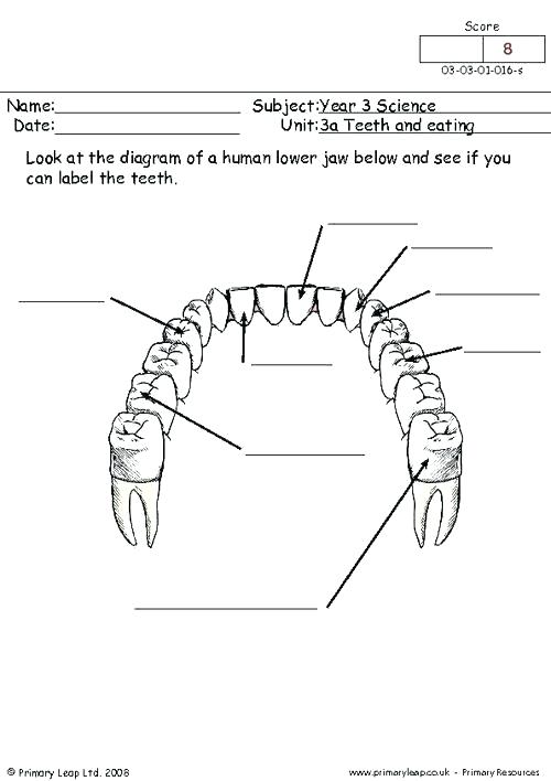 Dental Worksheets For Kids