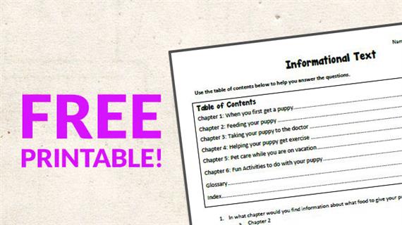 Free Printable  Informational Text Worksheet