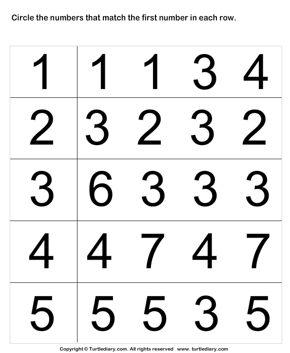 Match Numbers Worksheet