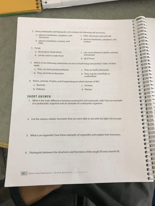 Solved  Laboratory 6  Worksheet Name Section  Date Instruc
