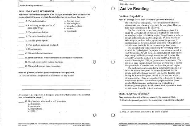 Worksheet  Mitosis Worksheet And Diagram Identification Answers