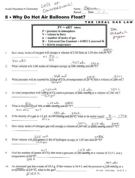 Mitosis Worksheets And Diagram Identification â Openlayers Co