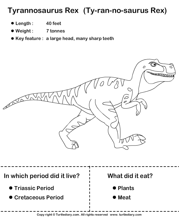 Simple Dinosaur Facts For Kids Worksheet