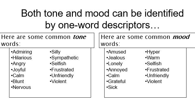Lesson 8  Writer's Tone And Point Of View