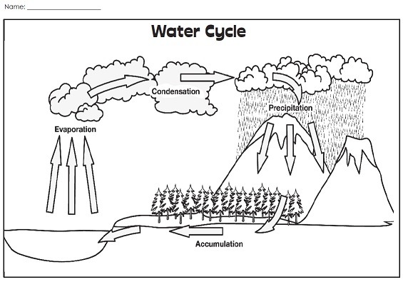 A Water Cycle Illustration