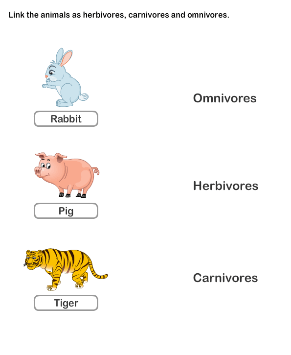 Printable Food Chain Worksheets