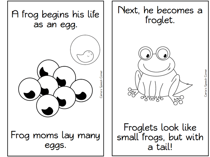 13 Frog Life Cycle Resources And Printables