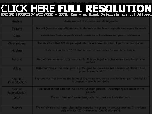 75 Unmistakable Comparing Mitosis And Meiosis Worksheet Key