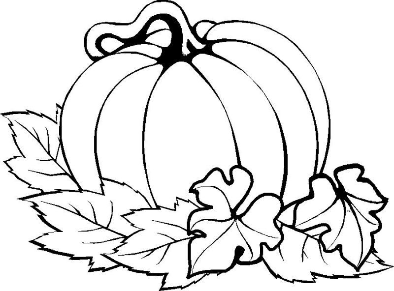 Pumpkin Coloring Pages Free Printable