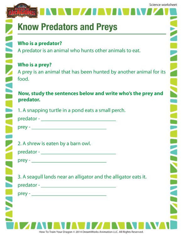 Know Predators And Preys