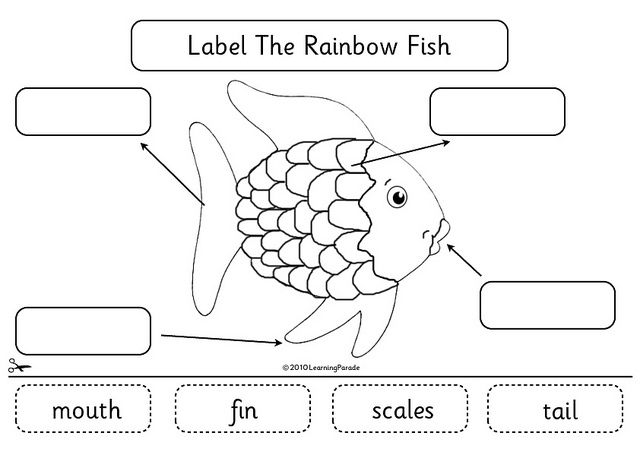Parts Of A Fish Diagram For Kids