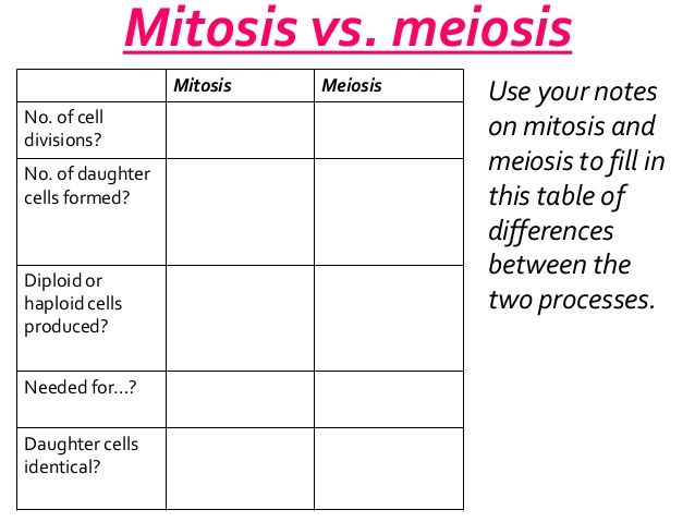 Comparison Table Mitosis And Meiosis Worksheet