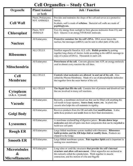 Worksheets Samples