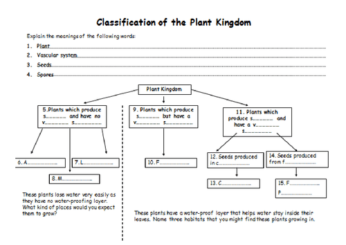 Adorable Biology Worksheets Animal Kingdom With Additional