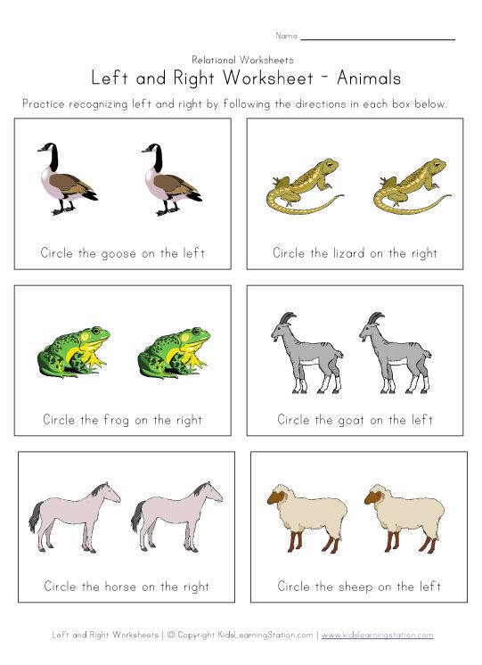 Left Right Worksheets