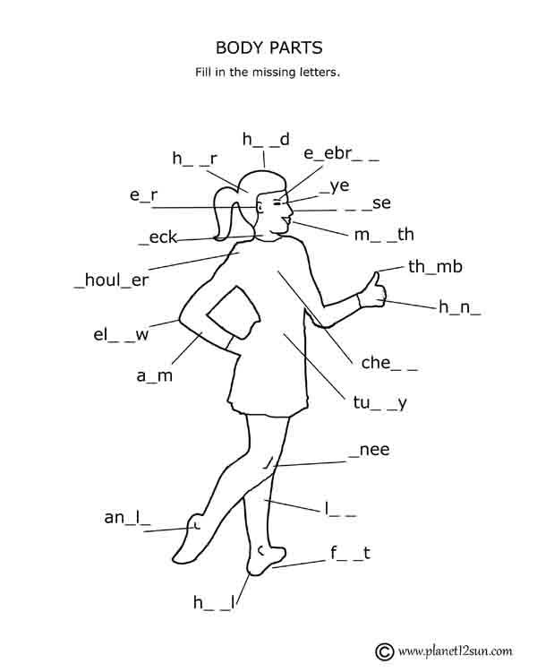 Body Parts