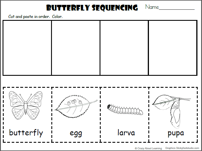 Butterfly Sequencing Cut And Paste (4 Free Pages)
