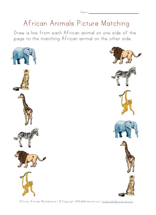 Picture Matching Worksheet