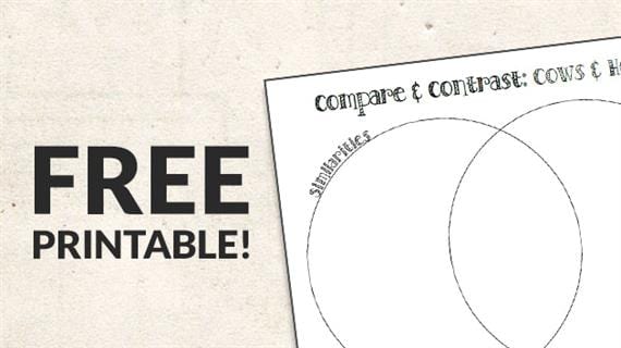 Free Printable  Compare And Contrast Worksheets
