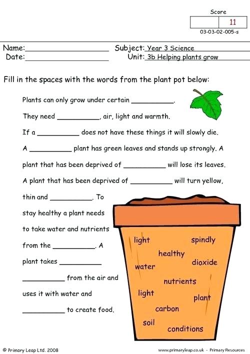 Resources Science Rocks Grade And Minerals Worksheets Eyewitness