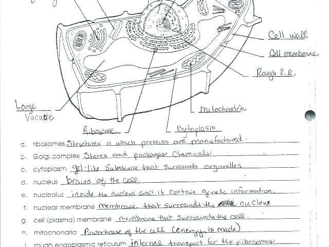 Ecology Worksheets Ecosystem Worksheets A Lesson Resources Ecology