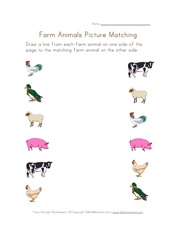 Farm Animals Worksheet