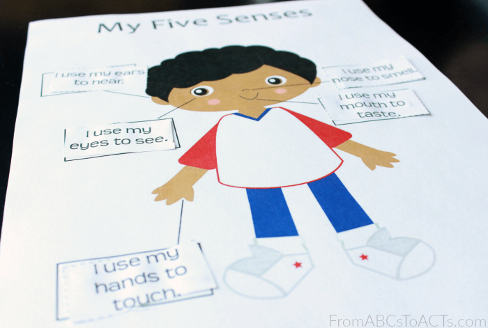 My Five Senses Cut And Paste Activity For Preschoolers