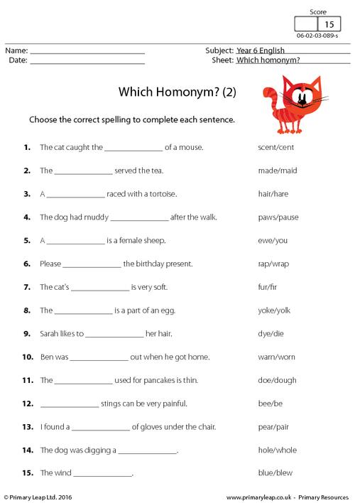 Formidable English Worksheets Year 6 Uk For Your Which Homonym 2