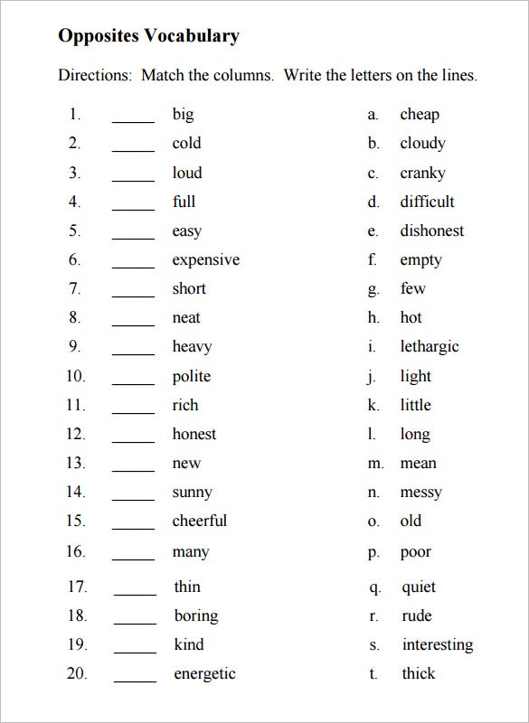 7+ Blank Vocabulary Worksheet Templates