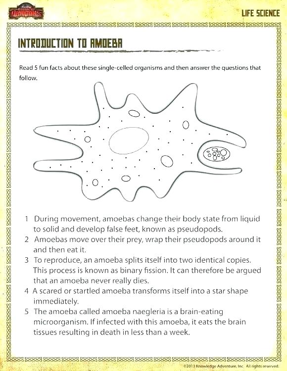 Free Science Worksheets Physical And Chemical Changes Worksheet