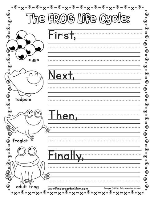 Frog Life Cycle Printables