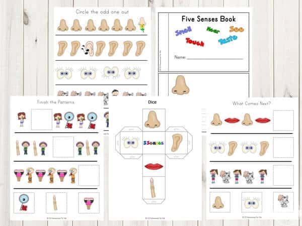 Five Senses Printable Pack