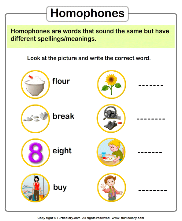Look At Picture And Write The Homophone Worksheet