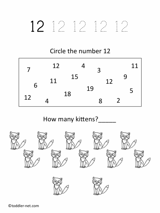 Free Printable Number 12 Worksheet