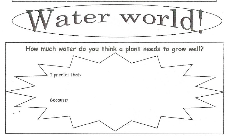 Adapting Water World Worksheet