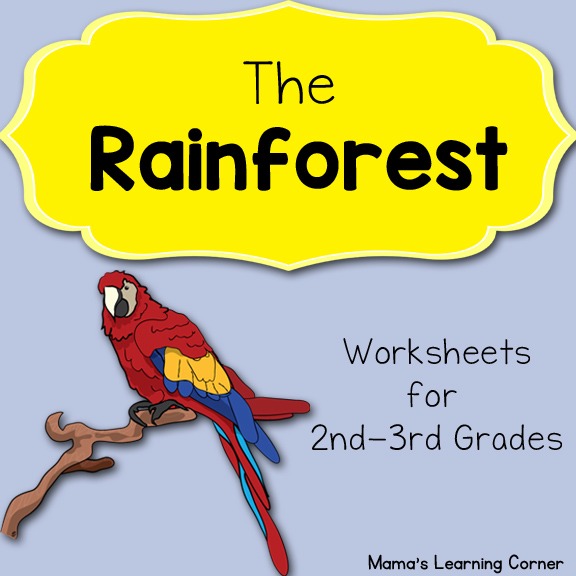 Rainforest Worksheets