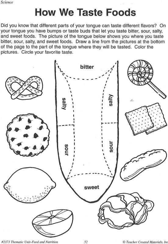 Sense Of Taste Worksheets For Kindergarten Taste Buds Worksheet