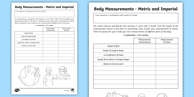 Body Measurements