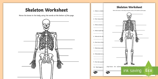 Skeleton Worksheet